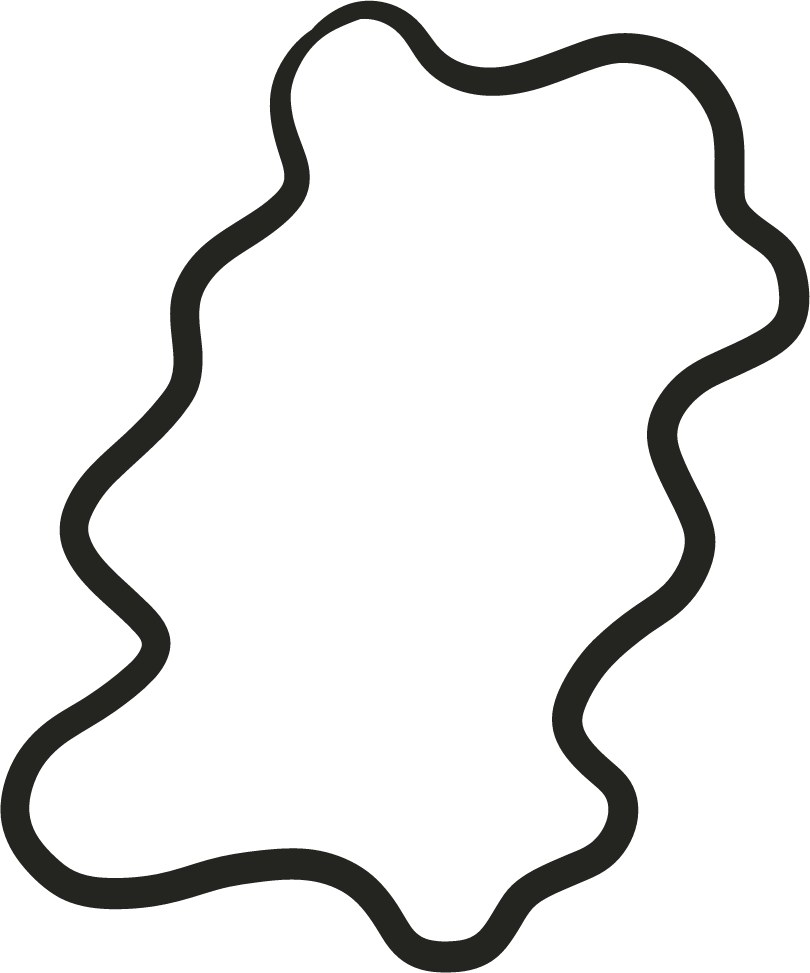 Squiggle accent Dark