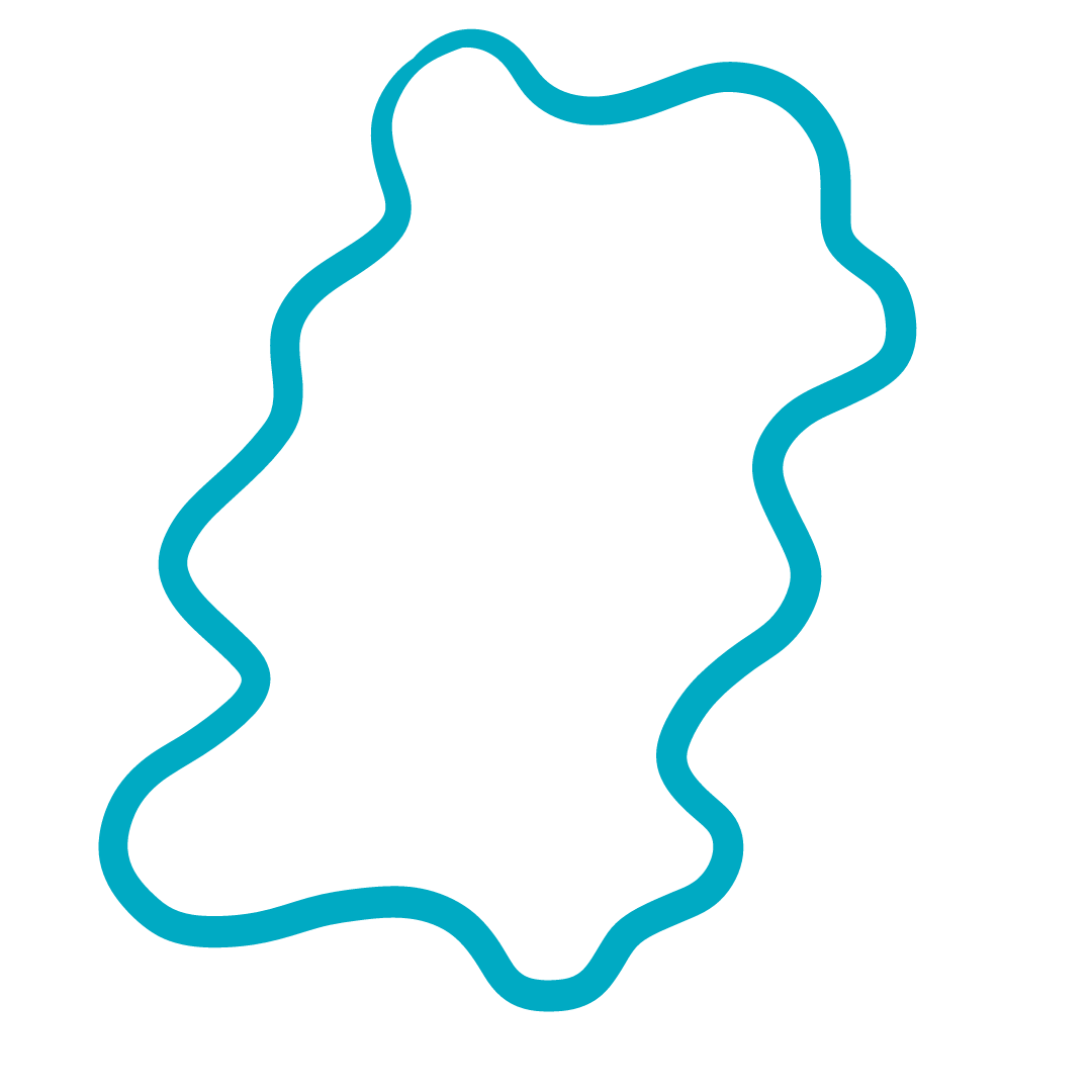 Squiggle accent