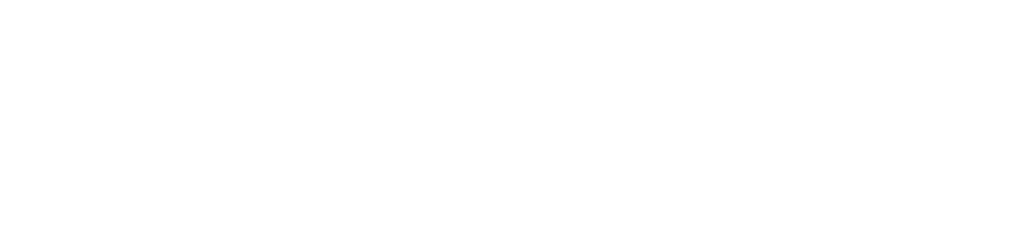 White Placez Logo e1727215203422