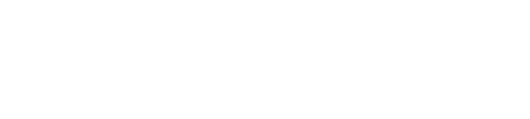 White Placez Logo e1727215203422